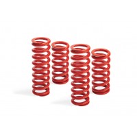 Racing springs front axle 50/240