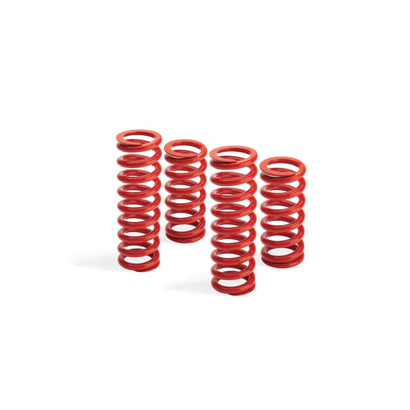 Racing springs front axle 50/240